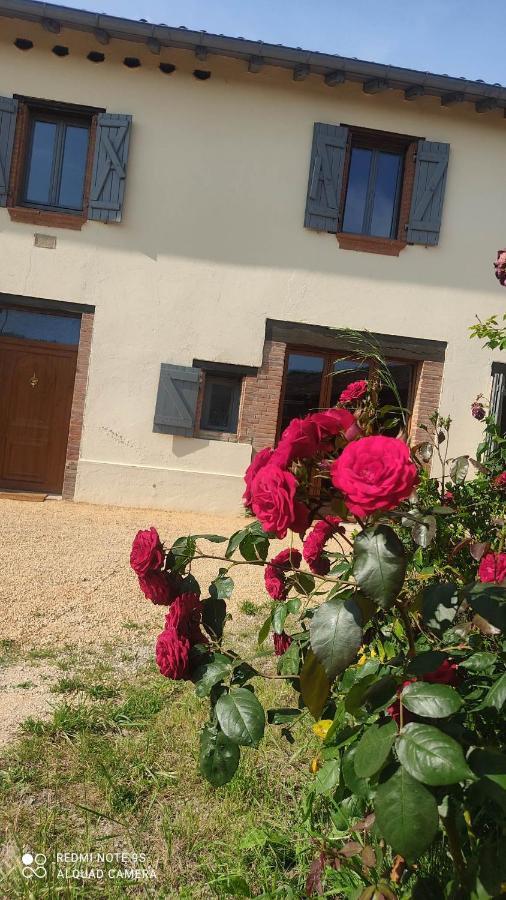 Ferme Du Bois Du Pouget Villa La Salvetat-Belmontet Dış mekan fotoğraf