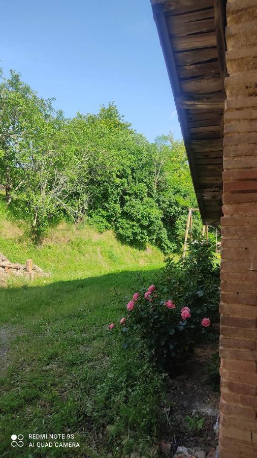 Ferme Du Bois Du Pouget Villa La Salvetat-Belmontet Dış mekan fotoğraf