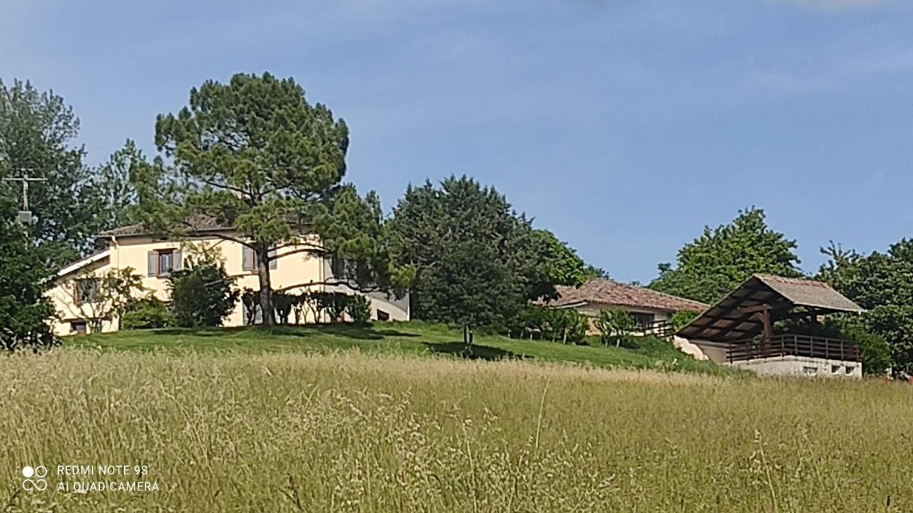 Ferme Du Bois Du Pouget Villa La Salvetat-Belmontet Dış mekan fotoğraf